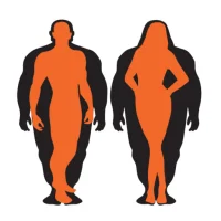 The Body Transformation Studio